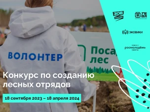 Движение ЭКА поможет развиваться сообществам лесных волонтеров
